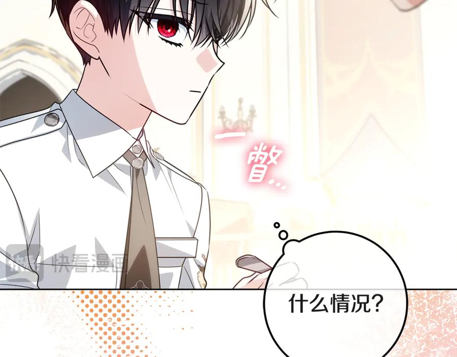 第242页