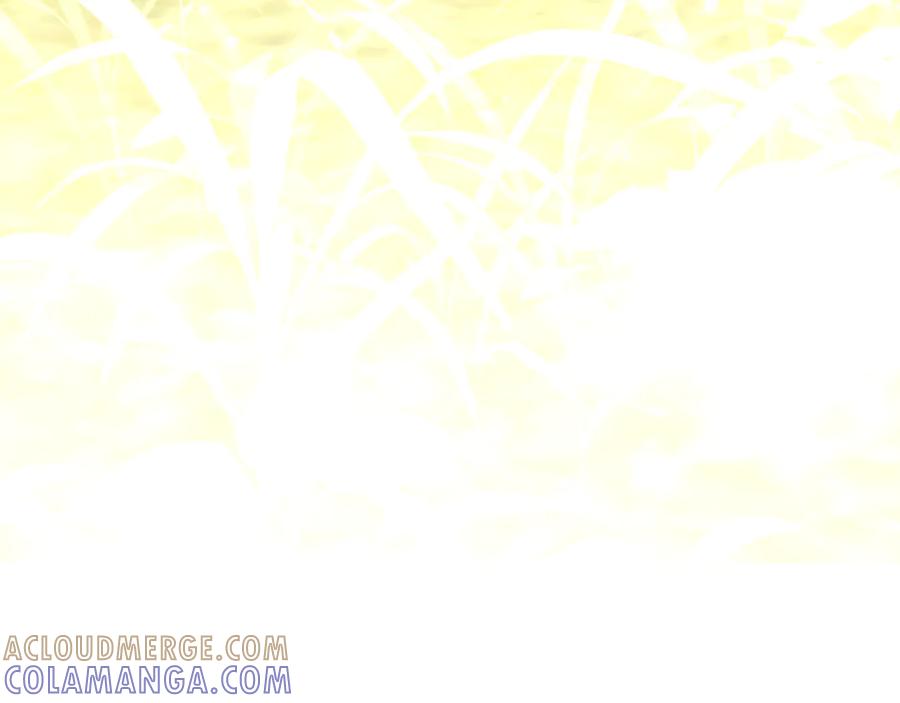 第229页