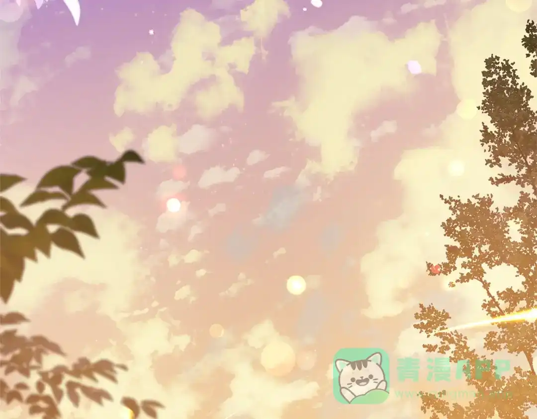 第221页