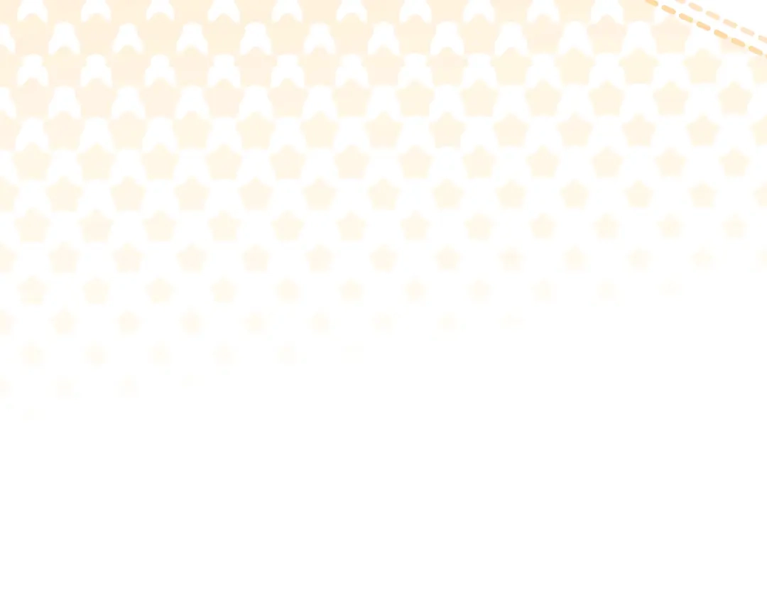 第234页