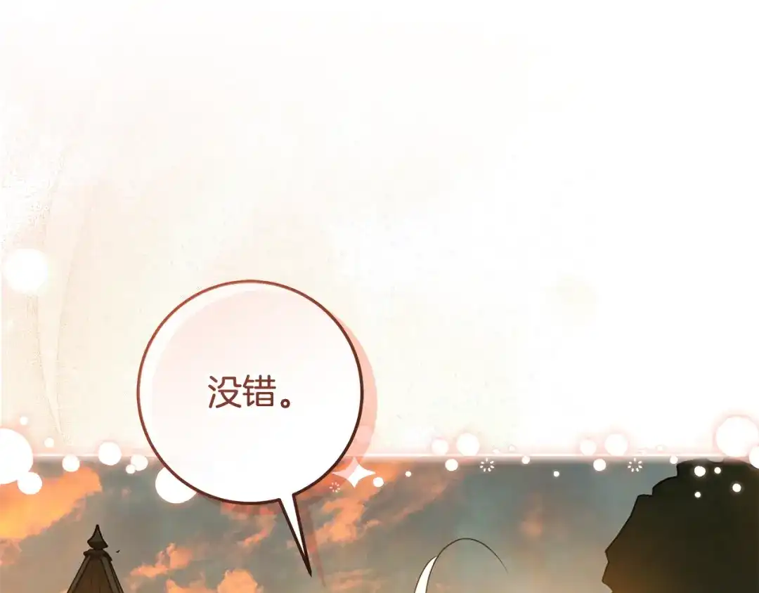第217页
