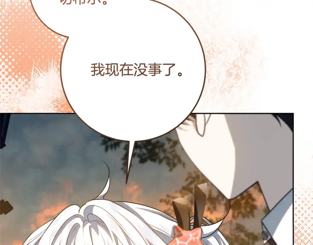 第229页