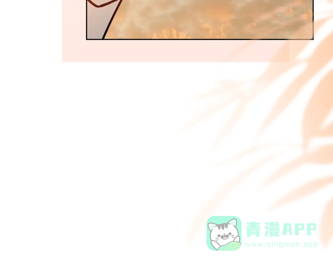 第236页