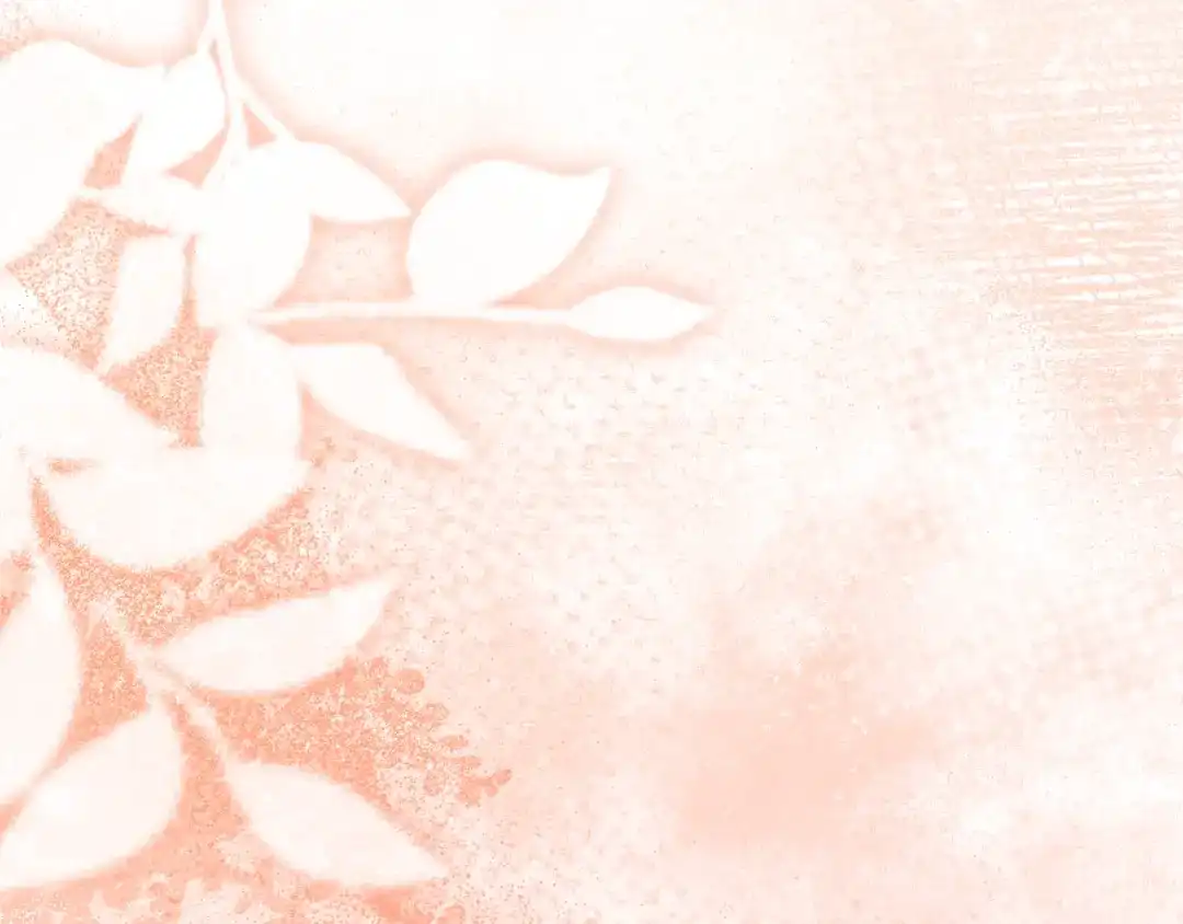 第245页