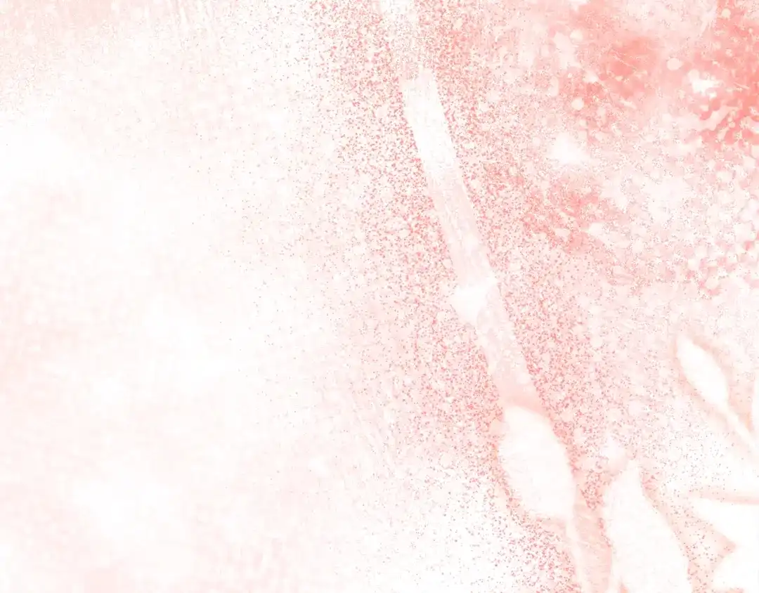 第247页