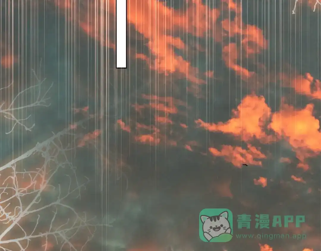 第251页