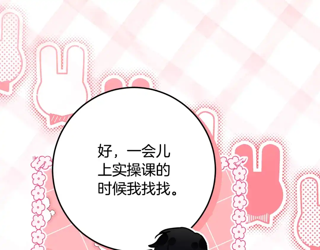第204页