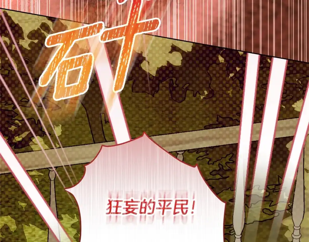 第224页
