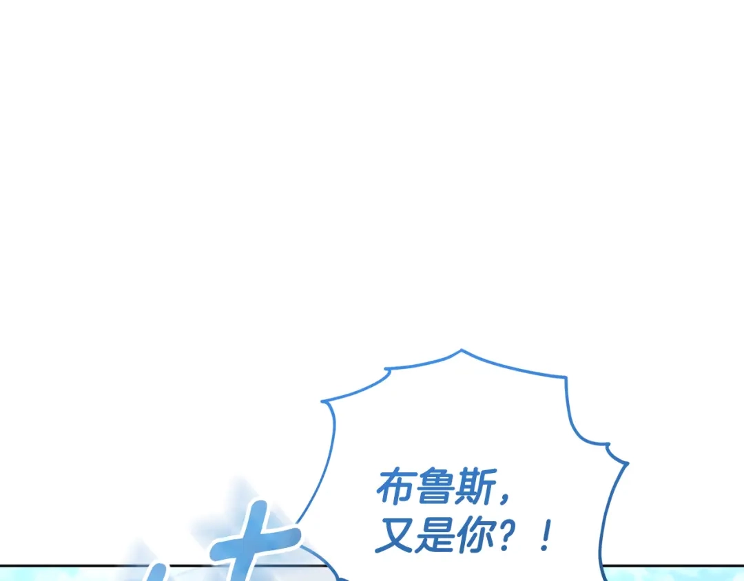 第242页