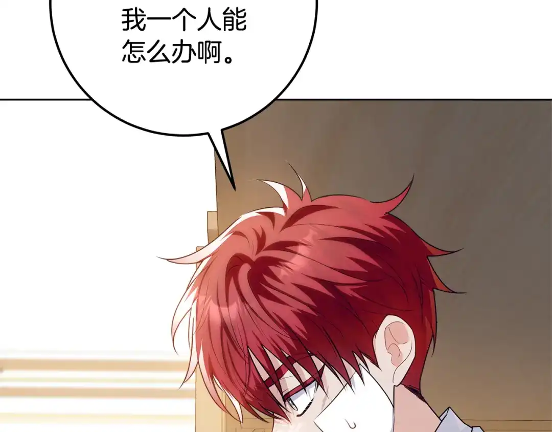 第204页