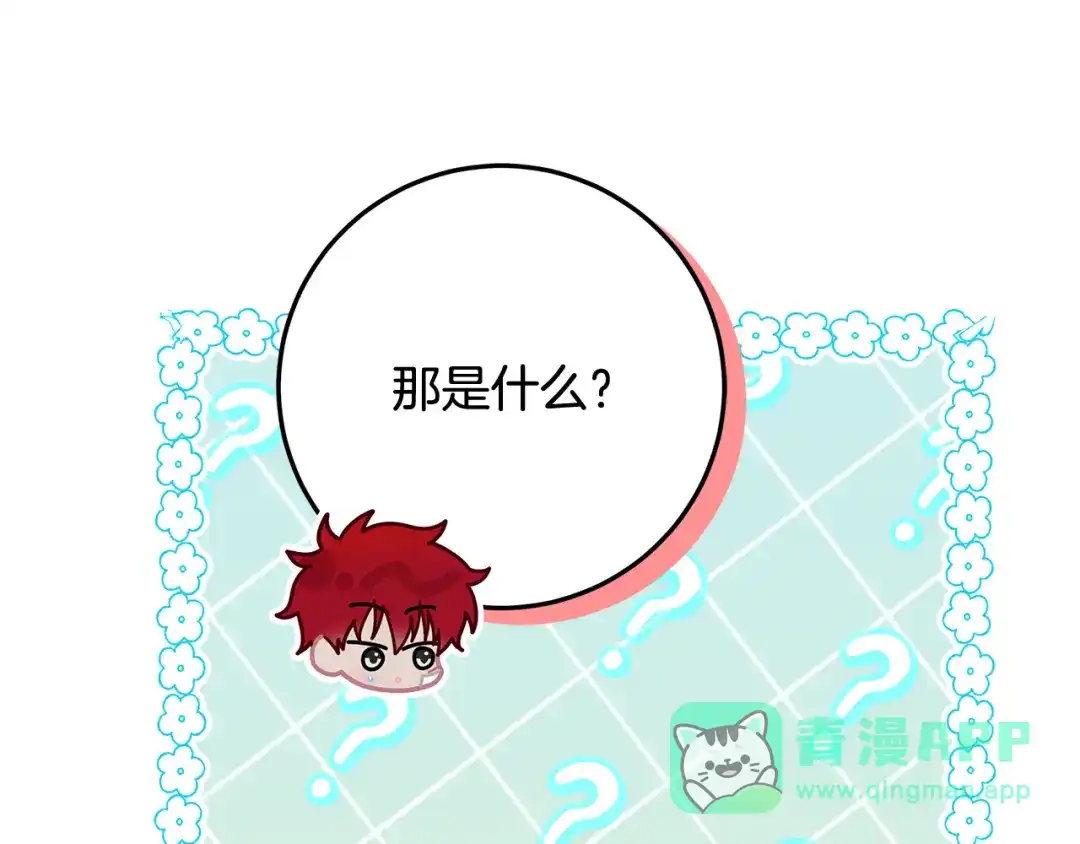 第231页