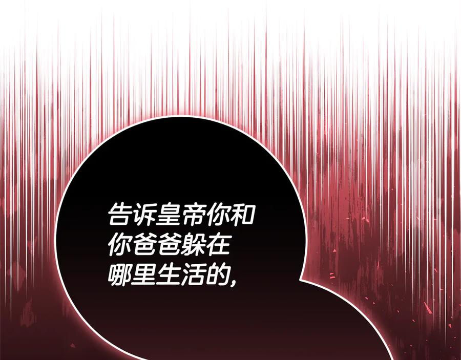 第223页
