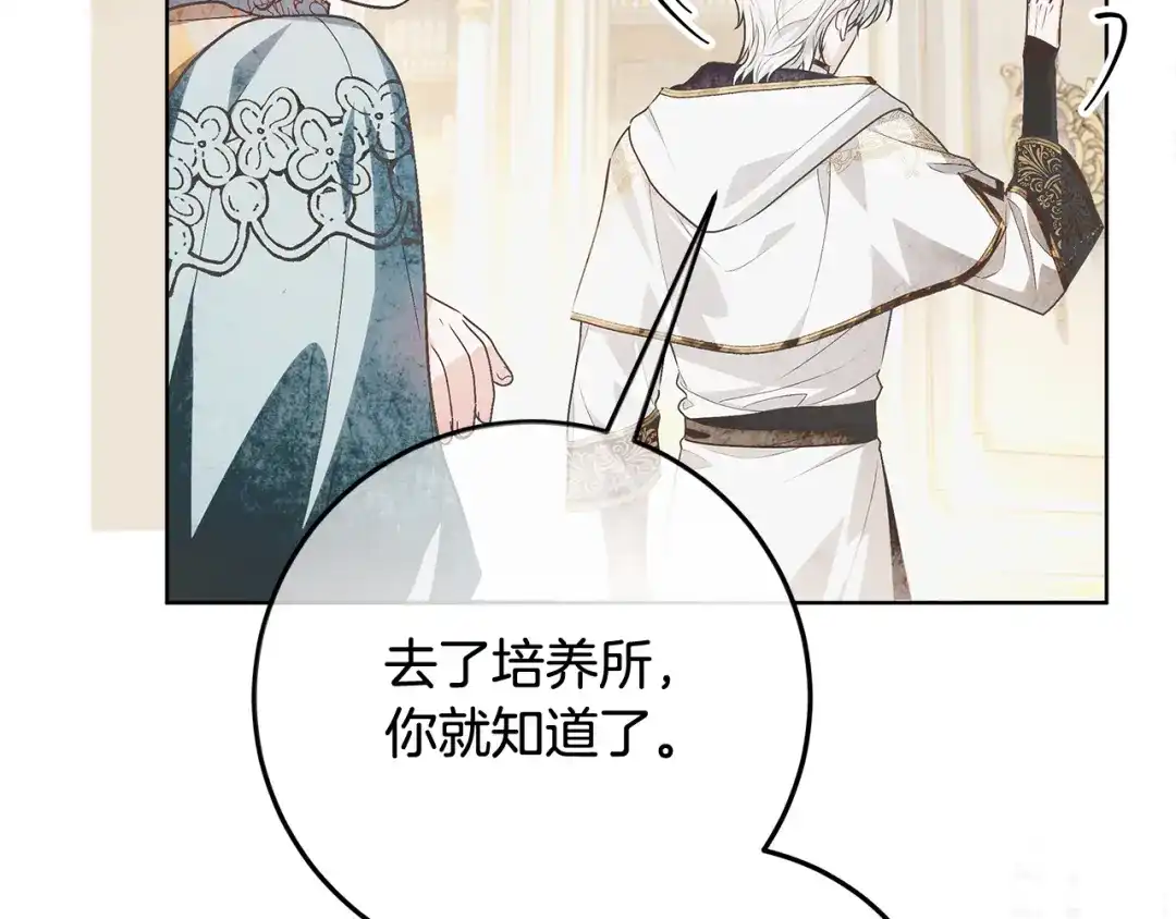 第242页