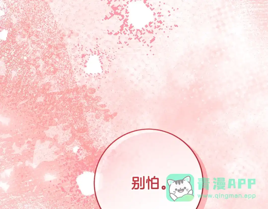 第211页
