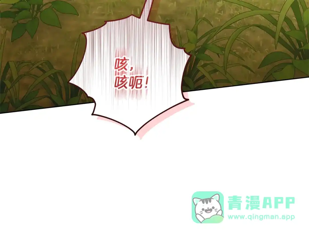 第256页