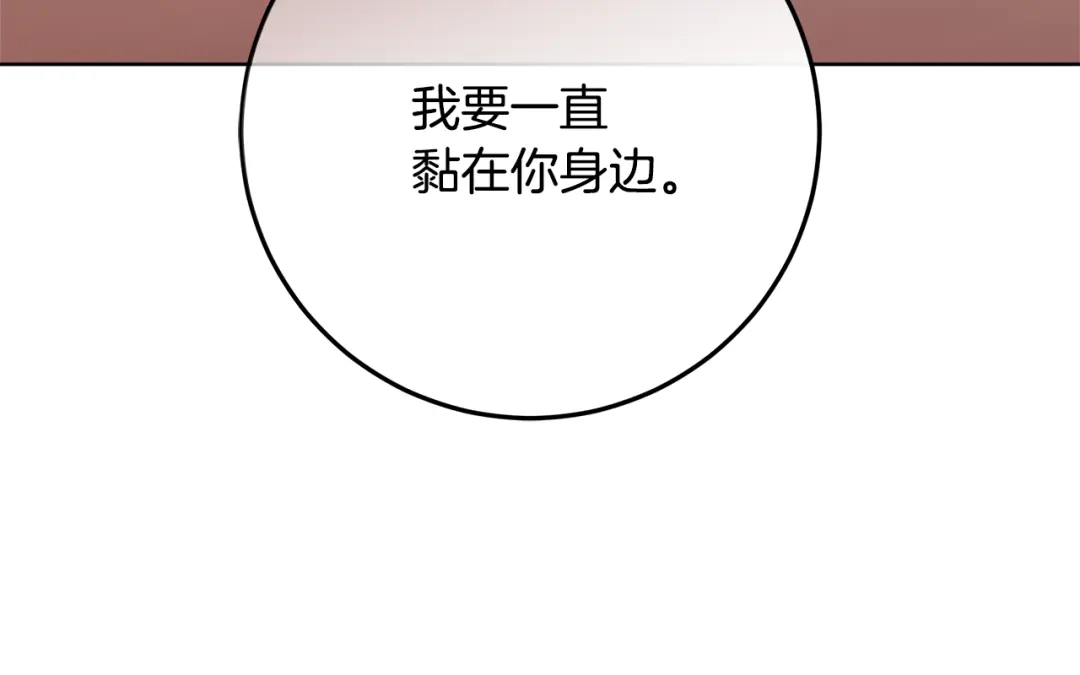 第254页