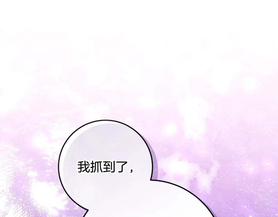 第221页