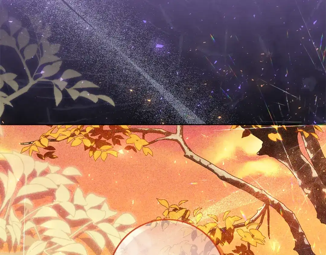 第224页