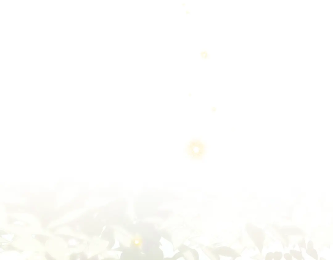 第229页