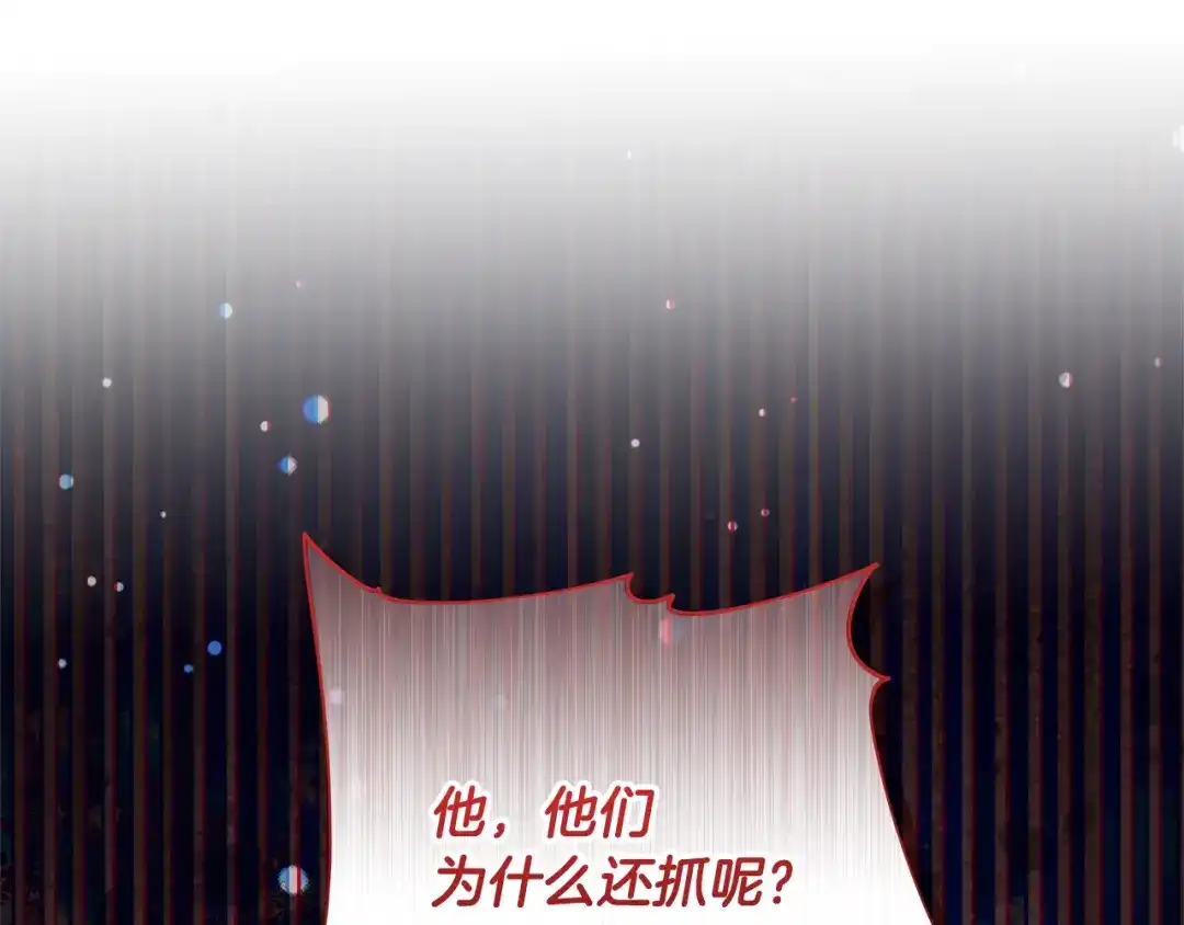 第202页