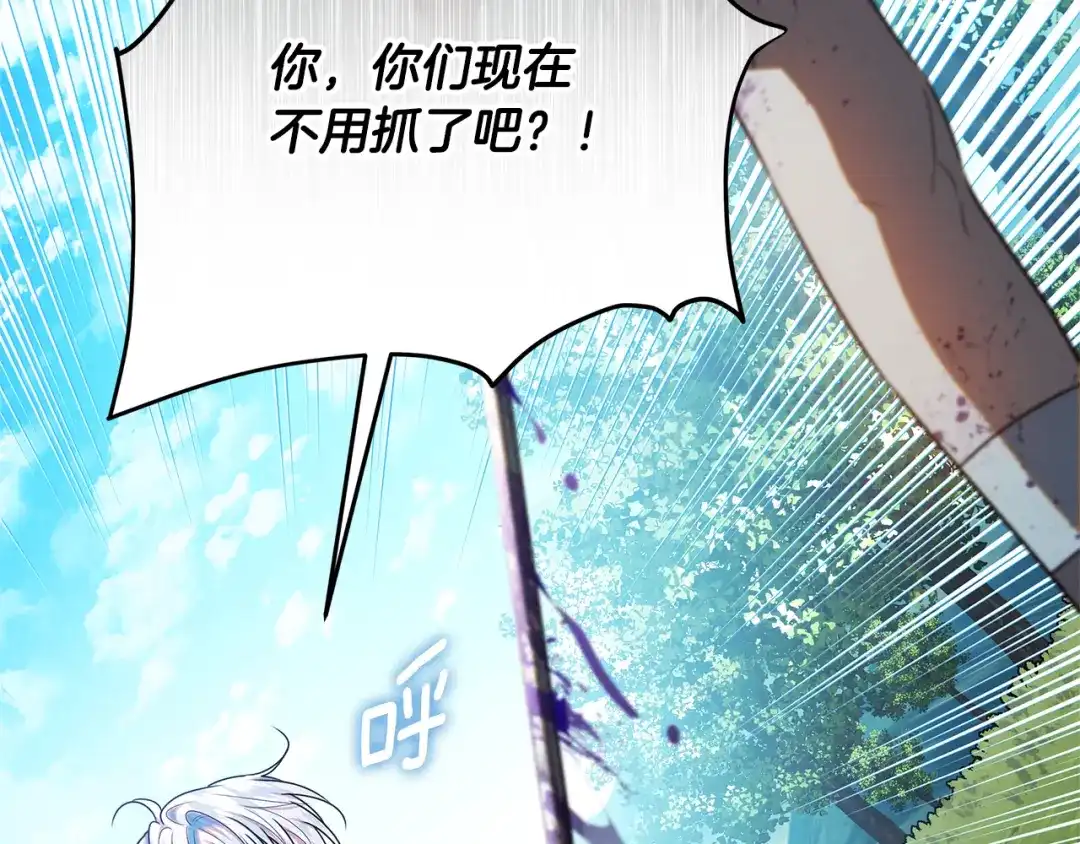 第215页