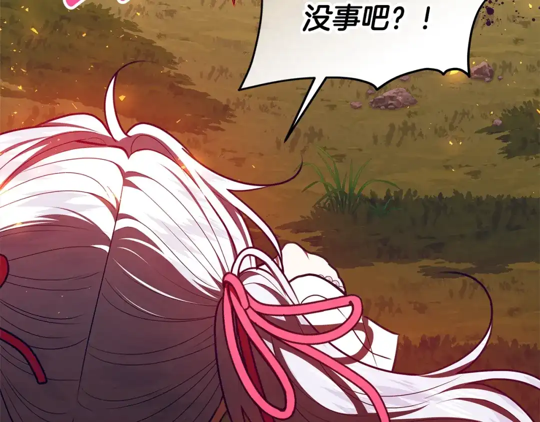 第204页