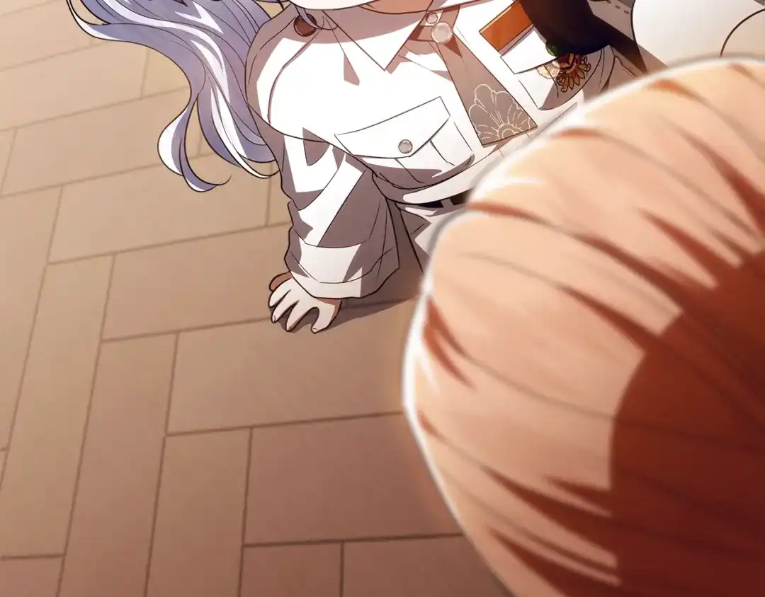 第207页