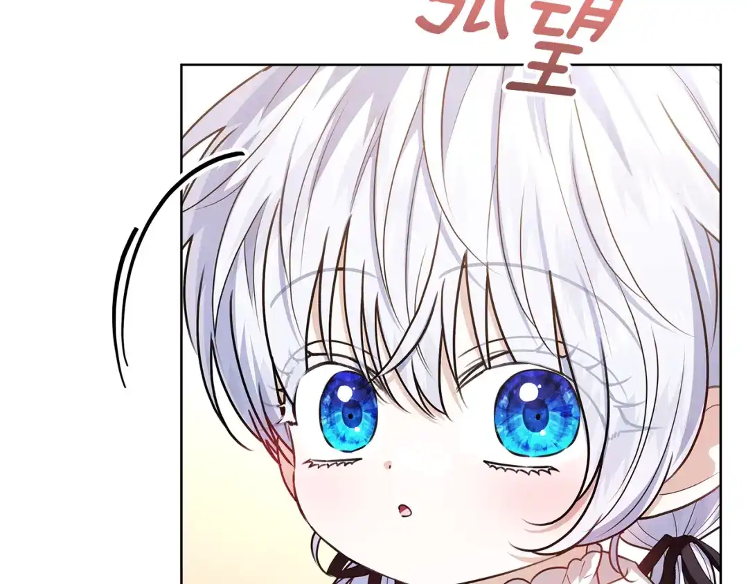 第217页