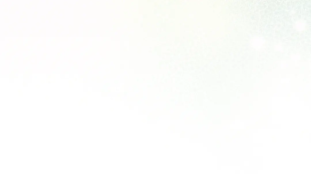 第241页