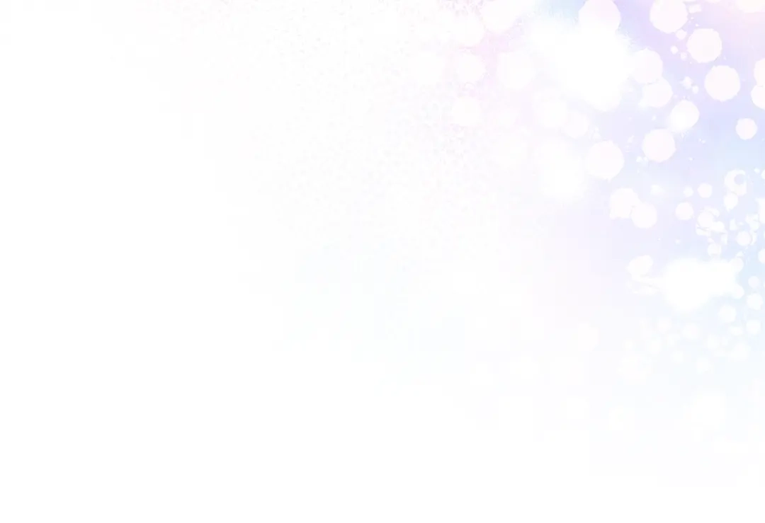 第255页