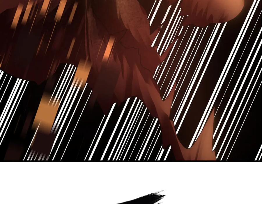 第214页