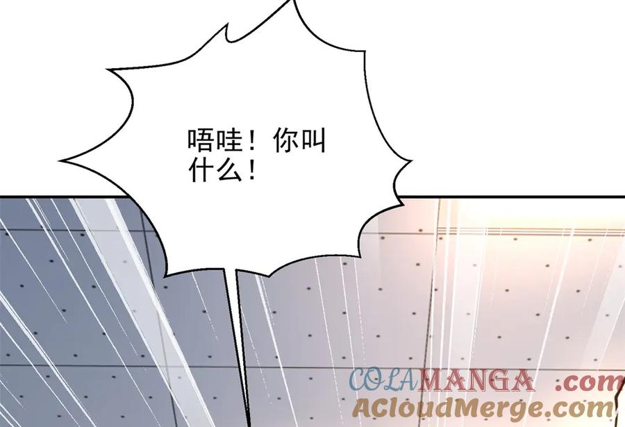 第241页
