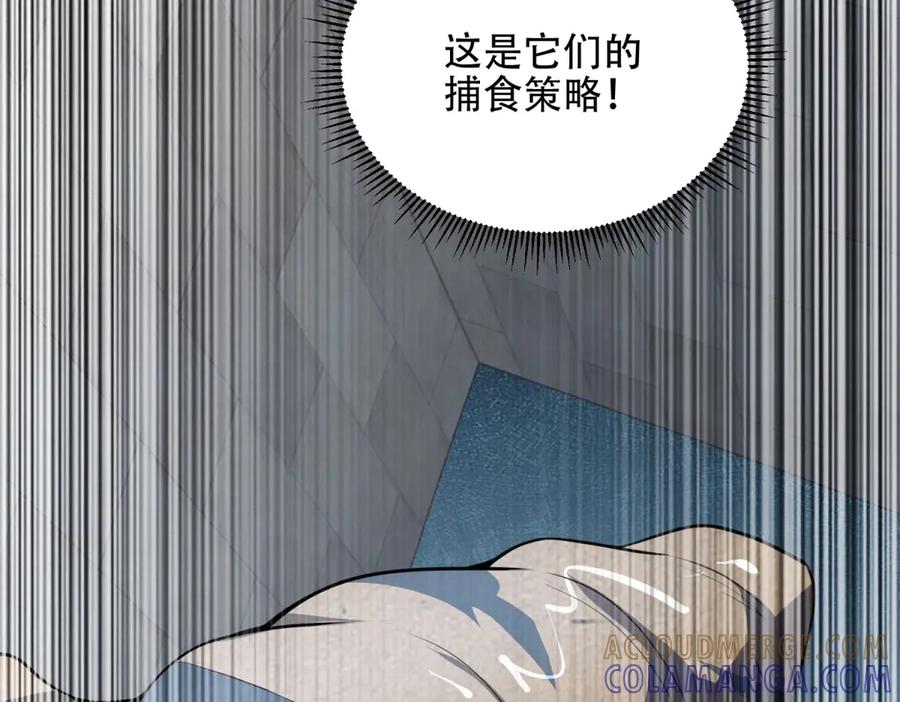 第205页