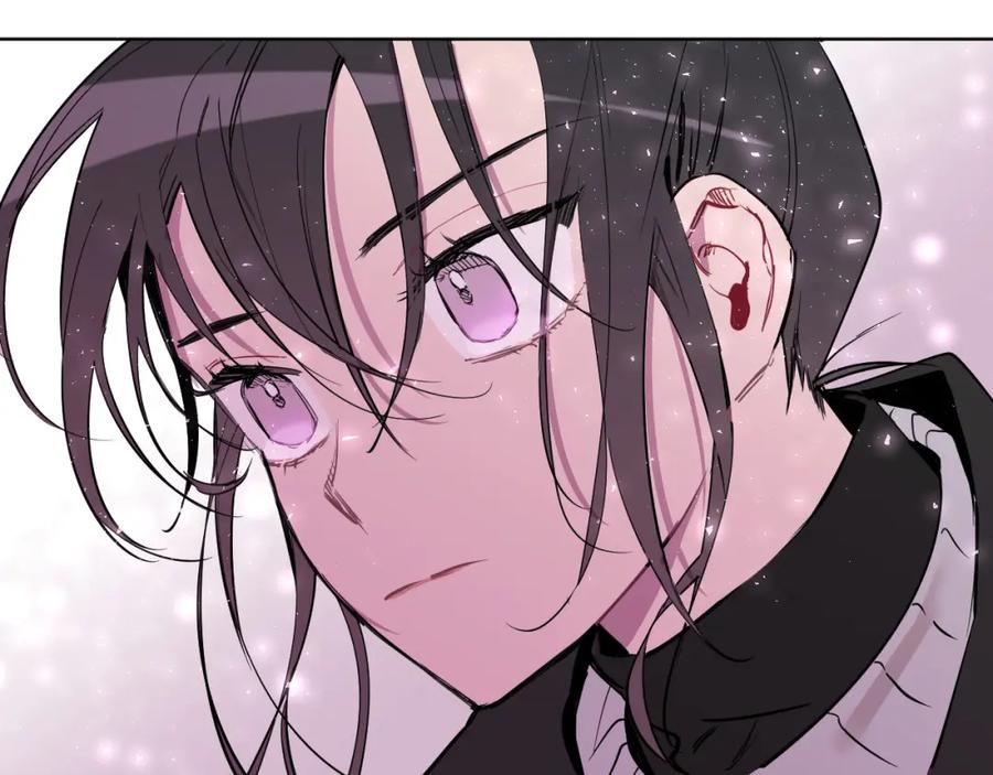 第223页