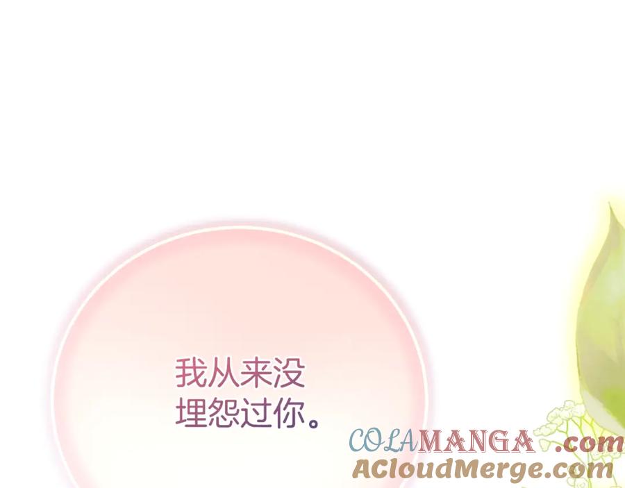 第229页