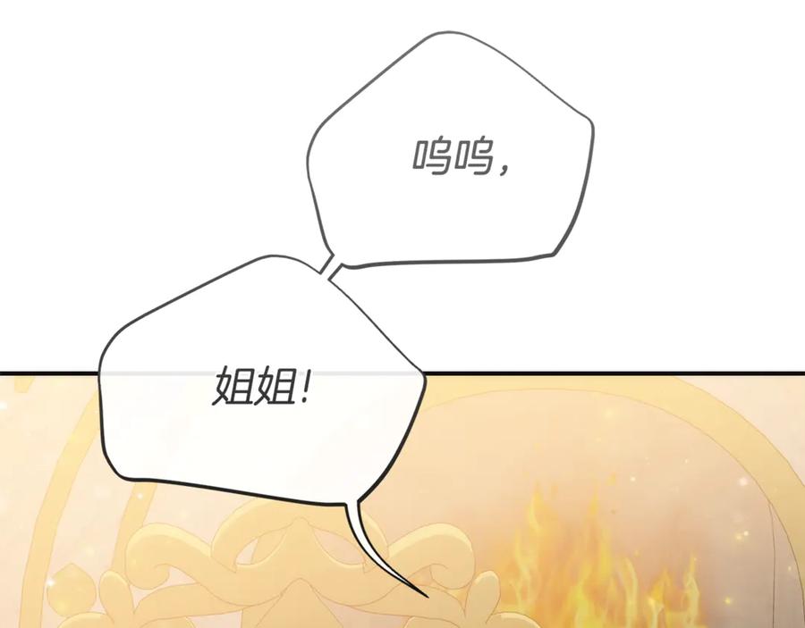第238页