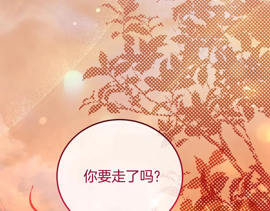 第244页