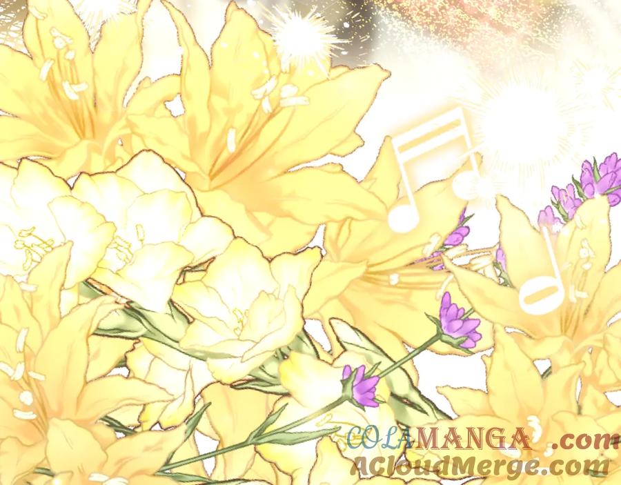 第205页