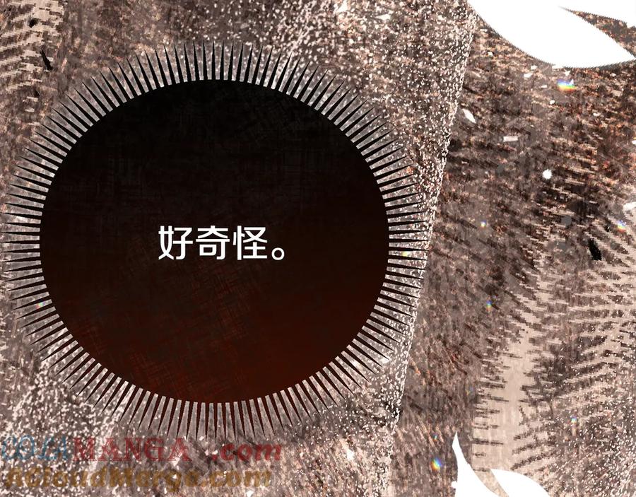第241页