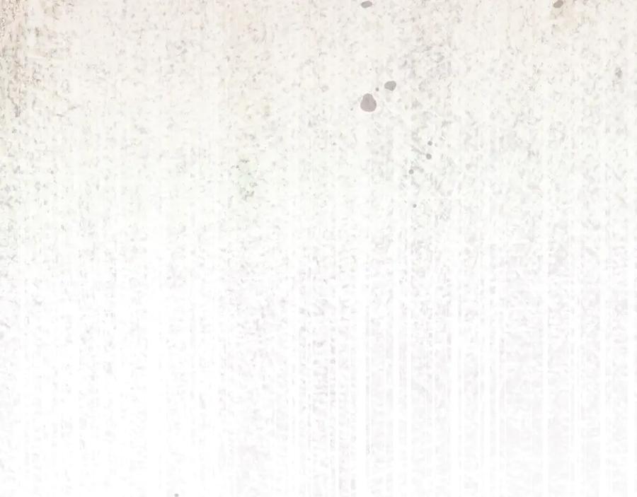 第244页