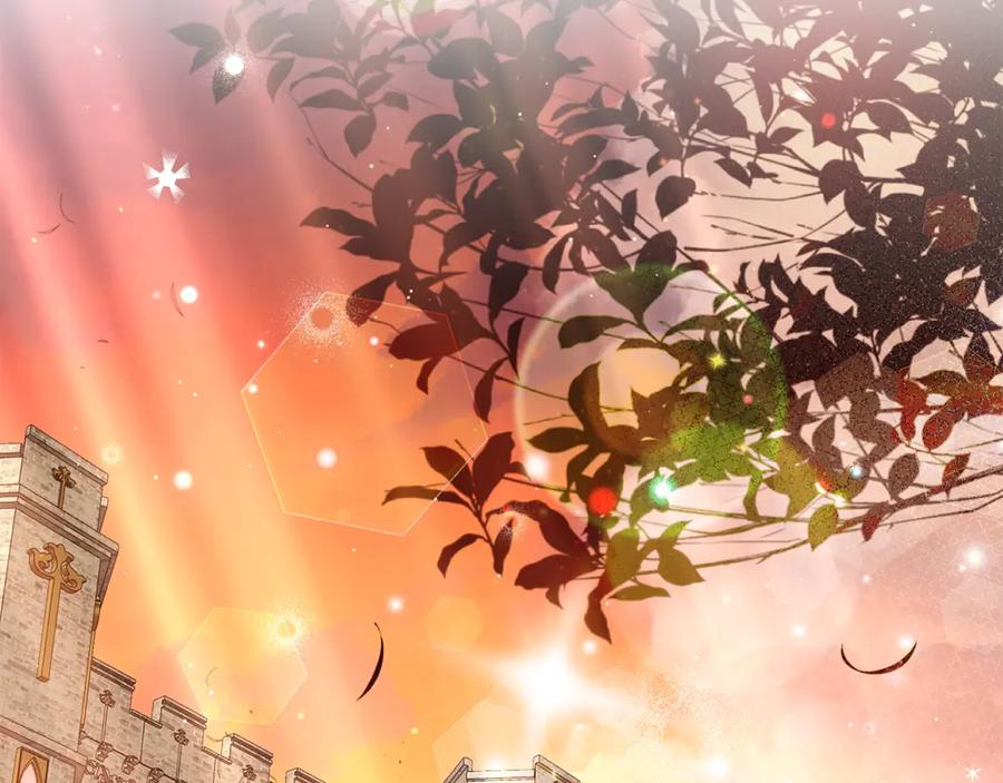 第214页
