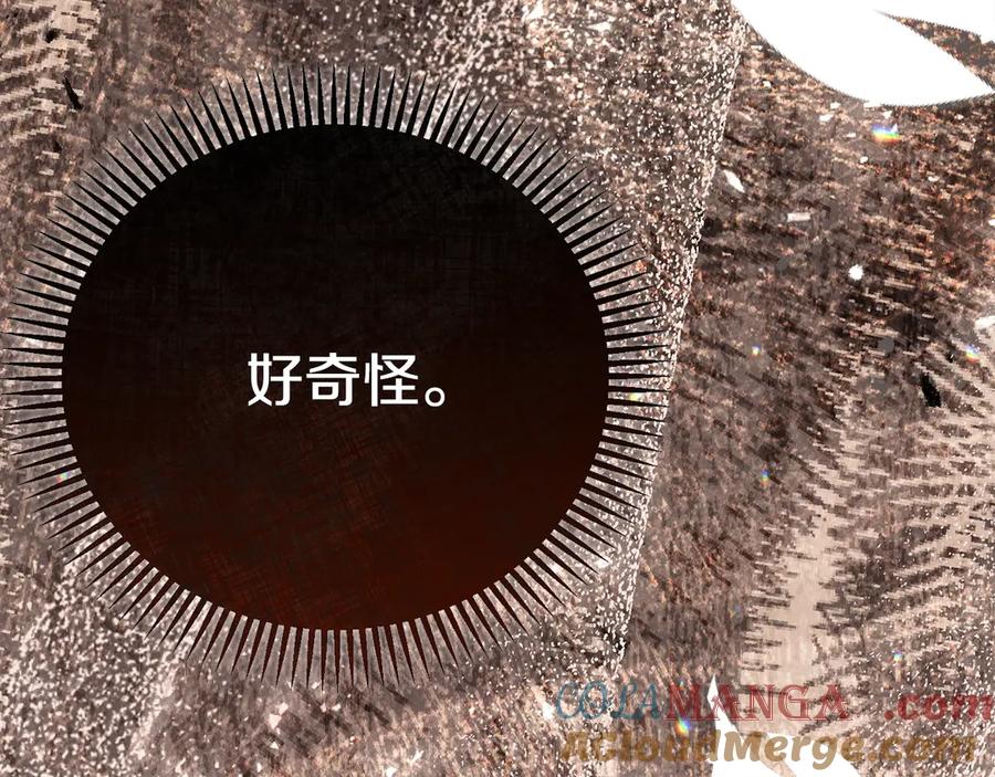 第241页