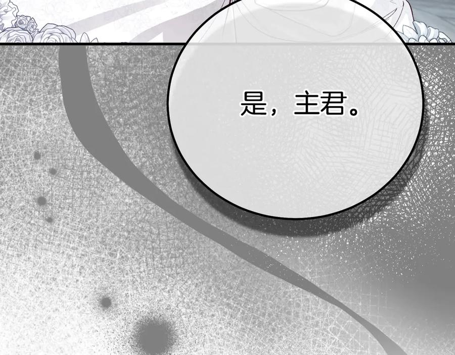 第223页