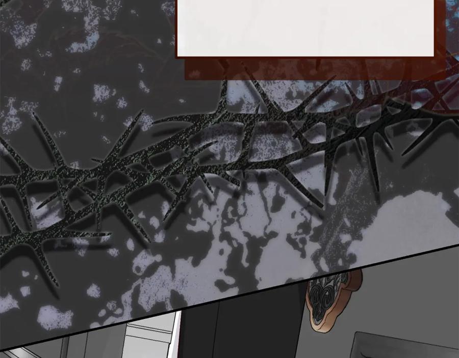 第242页