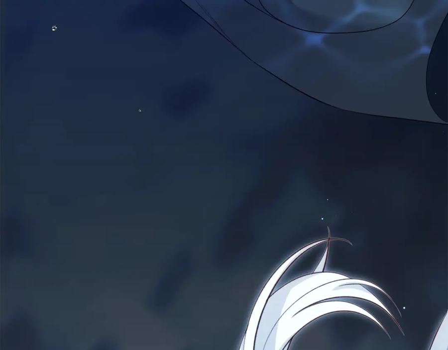 第243页