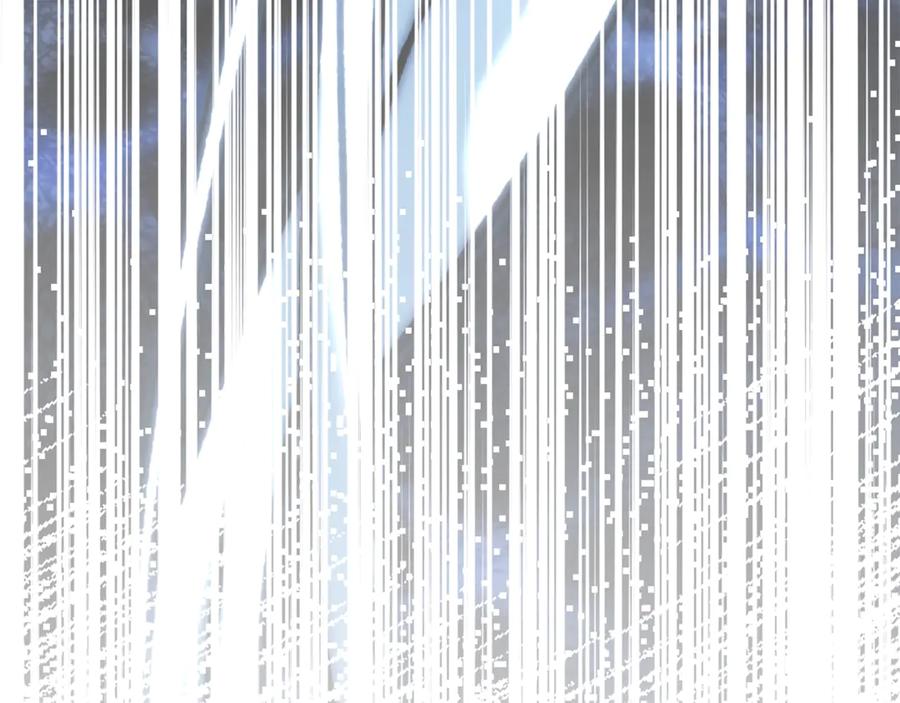 第264页