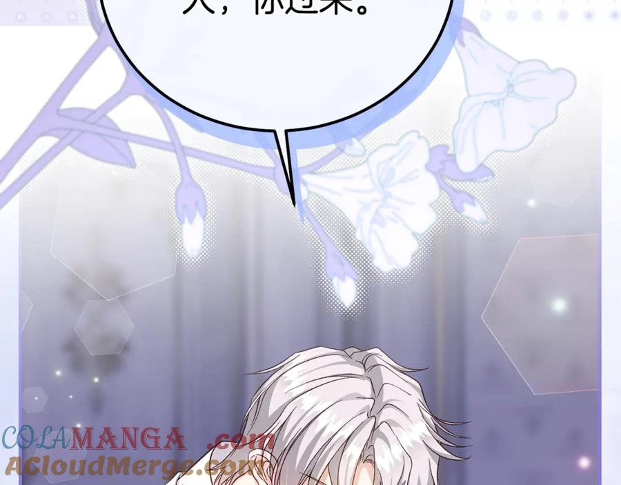 第221页