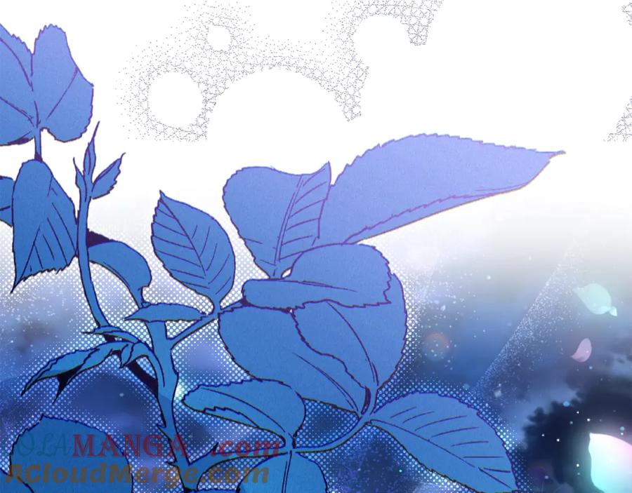 第241页