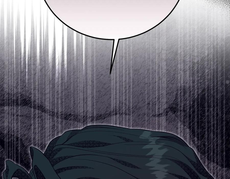 第242页