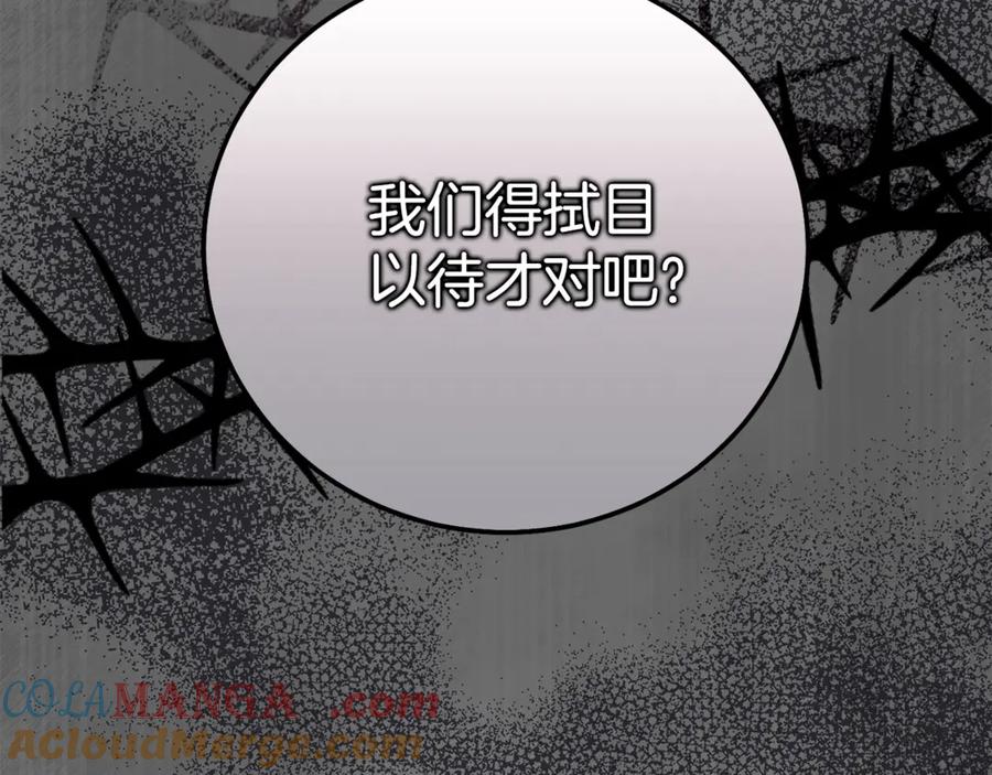 第245页